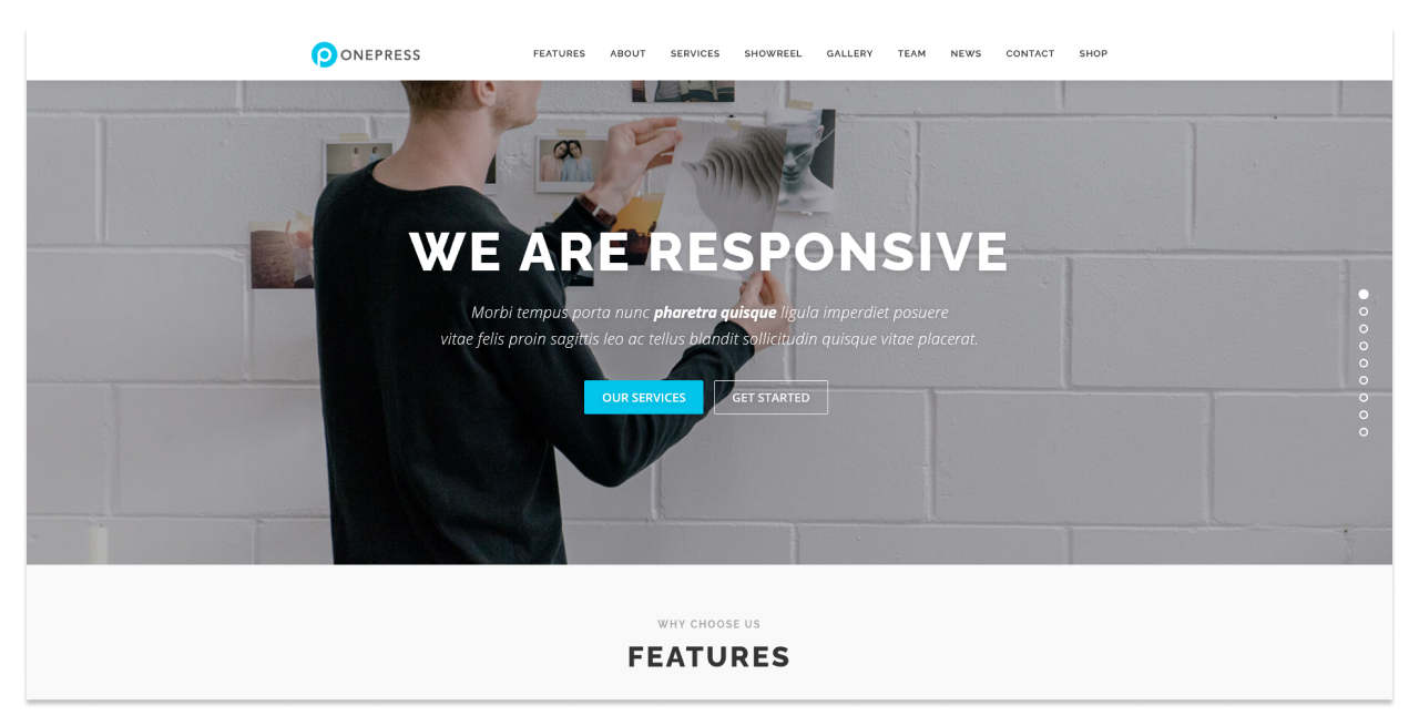 Изображение: скриншот демо-сайта на теме OnePress