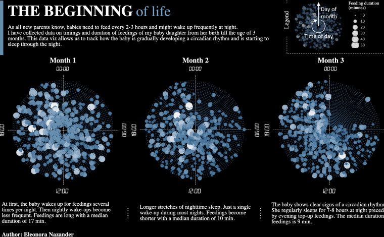Скриншот проекта «Начало жизни» Элеоноры Назандер.