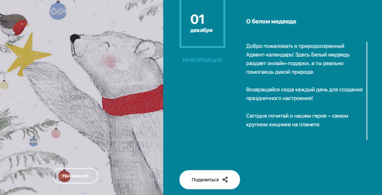 Один из дней в календаре WWF.