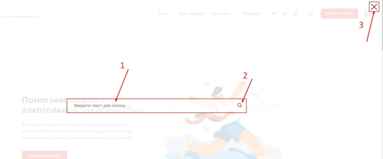 Скриншот страницы сайта kndwp.org.