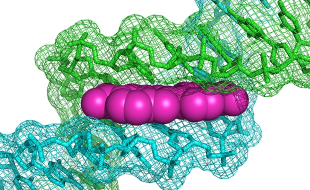 Data Collaboration: краудорсинг для здравоохранения